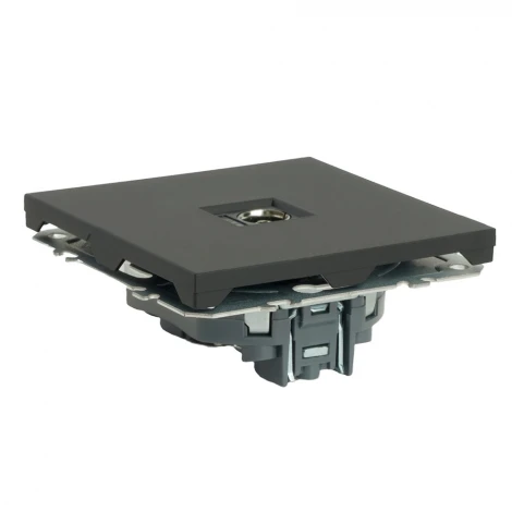 ТВ-розетка (черный уголь, soft touch) Stekker Эмили 49849