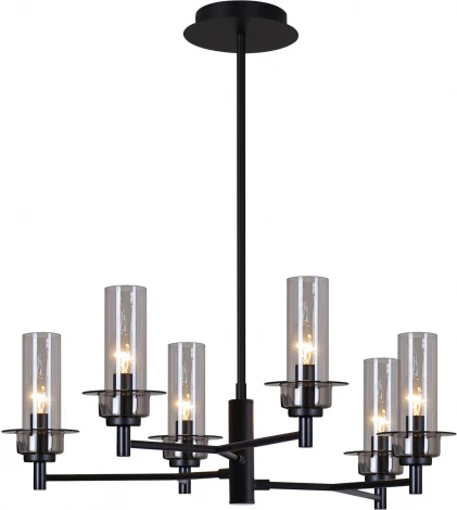 Подвесная люстра штанге ILLUMICO IL2216-6PLS-24