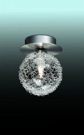 Потолочный светильник Odeon Light Roxby 2460/1C