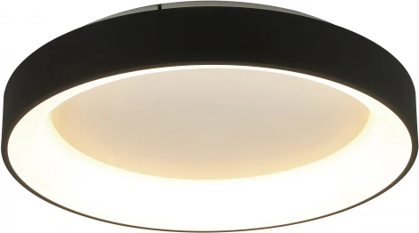 Потолочный светильник круглый Mantra Niseko 8582 (регулировка яркости, LED, 220V, пульт управления, круглые)