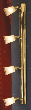 Настенно-потолочный светильник Lussole Rasen LSL-5009-04