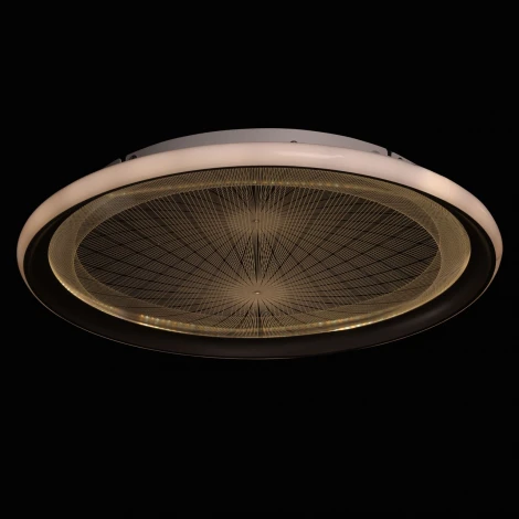 Потолочная люстра DeMarkt Норден 660013901 (LED, 220V, пульт управления, круглые)