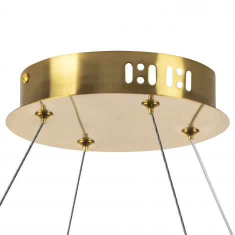 Подвесной светильник светодиодный Lightstar Vidare 699083 (220V, на тросе)