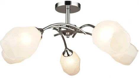 Потолочная люстра Wedo Light Totgnir 66653.01.03.05