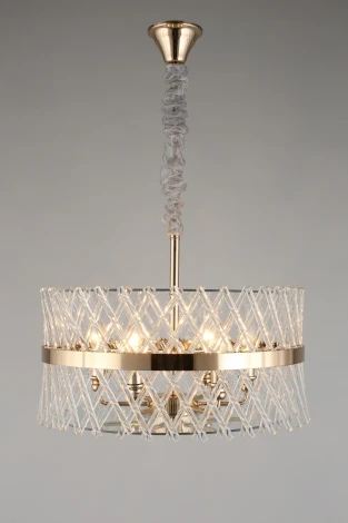 Подвесная люстра Aployt Toinet APL.734.06.06 (220V, на цепи, круглые)