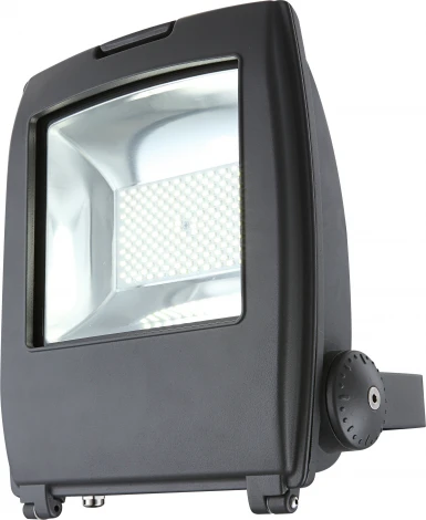 Прожектор уличный Globo Projecteur I 34221