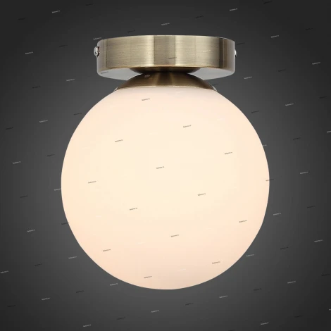 Настенно-потолочный светильник ST Luce Acini SL717.301.01