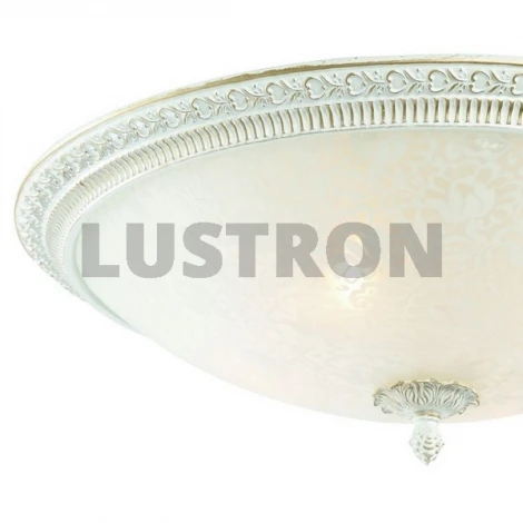 Потолочный светильник ST Luce SL135 SL135.502.04