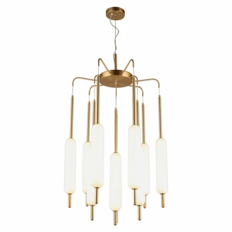 Подвесная люстра Aployt Carla APL.010.03.80 (LED, 220V, на тросе)