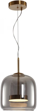 Подвесной светильник Arte Lamp Padova A2404SP-23SM