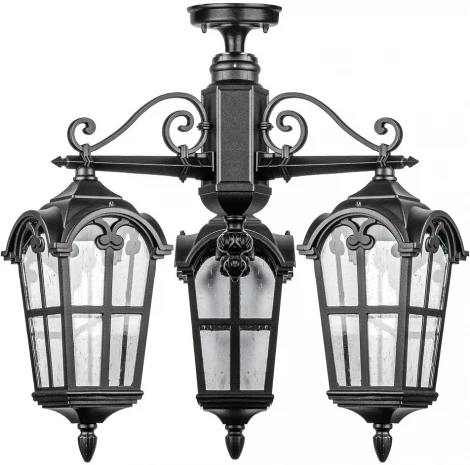 Потолочный светильник уличный Oasis Light PORTO 86170A/3 02 Bl