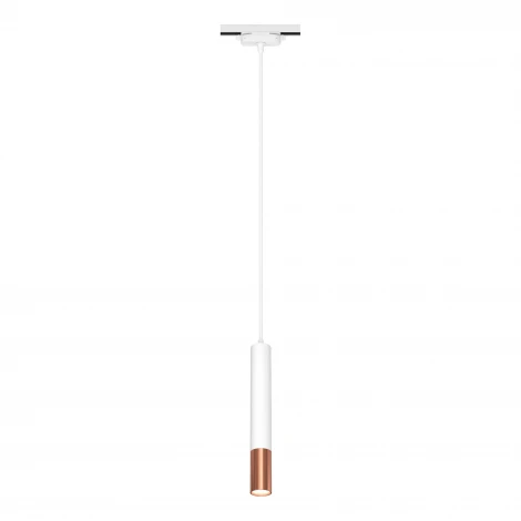 Трековый светильник однофазный 220V Ritter Artline 59710 4