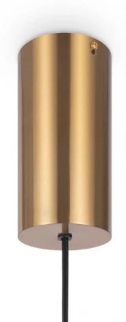 Подвесной светильник Maytoni Imaginary MOD190PL-L5G3K (LED, 220V, на проводе, круглые)