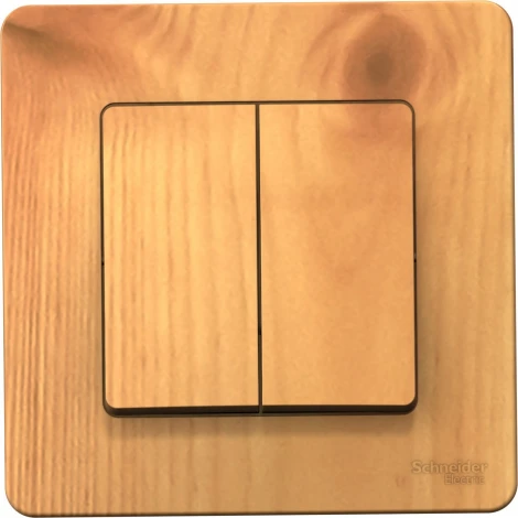 Выключатель встраиваемый двухклавишный (ясень) Systeme Electric Blanca BLNVS010505