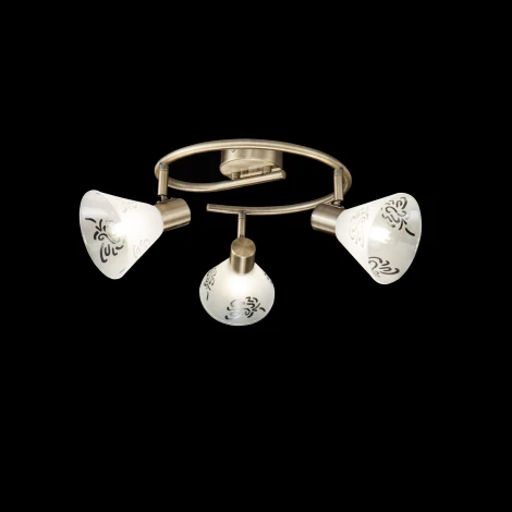 Спот Freya Paola FR7001CL-03BZ