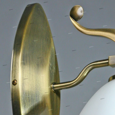 Brizzi Almeria MA02401W/001 Bronze