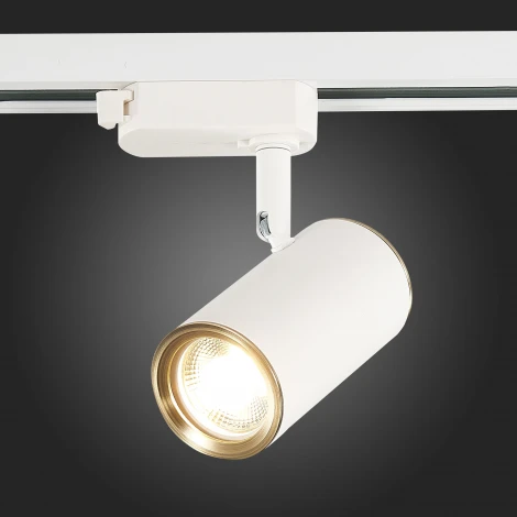 Трековый светильник ST Luce Cromi ST301.536.01 (220V, круглые)