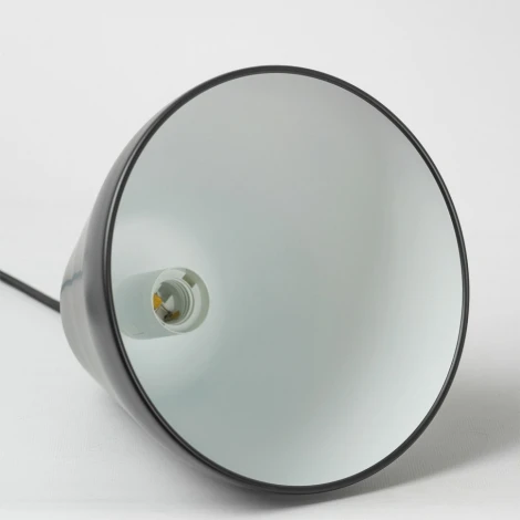 Подвесной светильник Lussole Jenkins LSP-7311 (220V, на проводе)