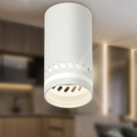 Точечный светильник ЭРА OL50 WH (220V)