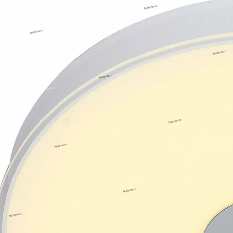 Потолочный светильник ST Luce Semplicita SL473.502.01