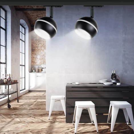 Трековый светильник ЭРА TR47 - GX53 BK (220V, шар)