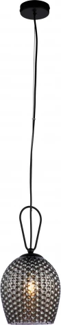 Подвесной светильник Armonia V000085 (11001/1P Black) (220V, на тросе)