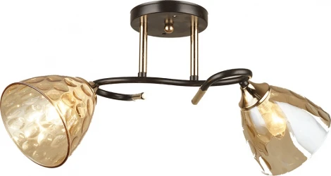 Потолочная люстра на штанге Мелодия Света SS1N SS1120-2 CF+GD 000067898