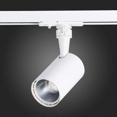 Трековый светильник ST Luce Cami ST351.536.10.24 (LED, 220V, круглые, IP22)