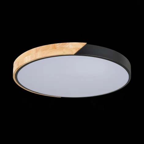 Потолочный светильник Evoluce Festa SLE200942-01