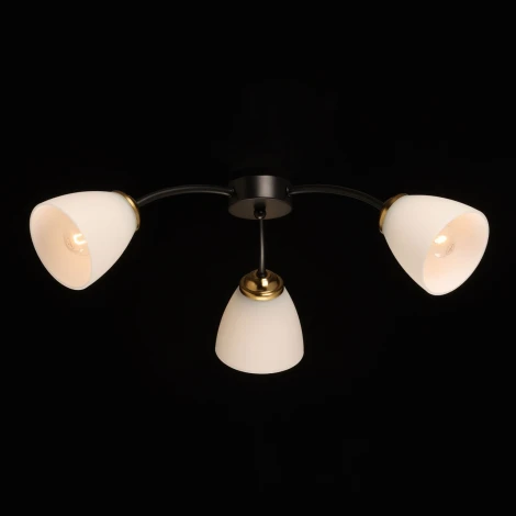 Потолочная люстра De City Нежность 676016903