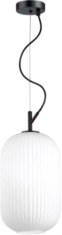 Подвесной светильник Odeon Light Roofi 4751/1 (220V, на тросе)