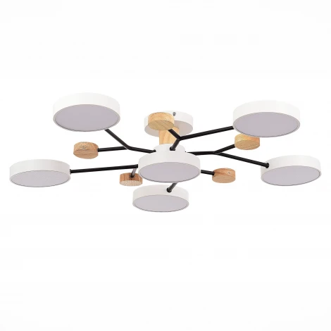 Потолочная люстра на штанге Evoluce Faema SLE6006-502-06