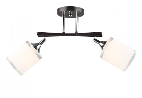 Потолочная люстра на штанге Мелодия Света SL1N SL9079-2 CF+CR 000066028