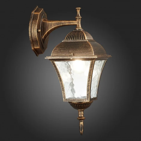 Настенный фонарь уличный ST Luce Domenico SL082.211.01
