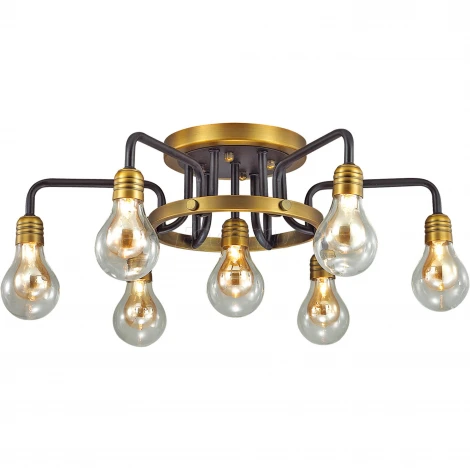 Потолочная люстра Odeon Light Alonzo 3983/7C