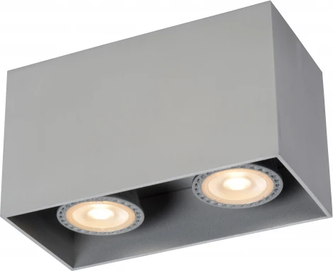 Накладной точечный светильник Lucide Bodi 09101/02/12 (220V)