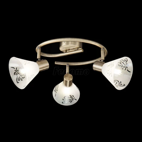 Спот Freya Paola FR7001CL-03BZ