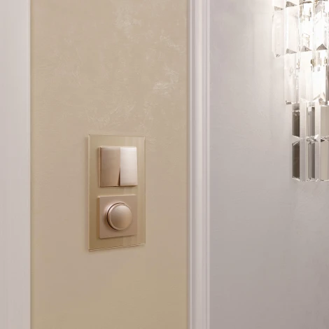 Выключатель двухклавишный проходной (шампань) Werkel W1122011 (a050866)