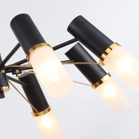 Потолочная люстра F-Promo Viator 2558-8P (220V)