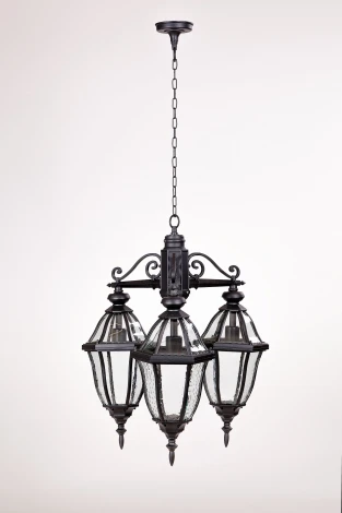 Уличный светильник подвесной Oasis Light Florida 89470L/3