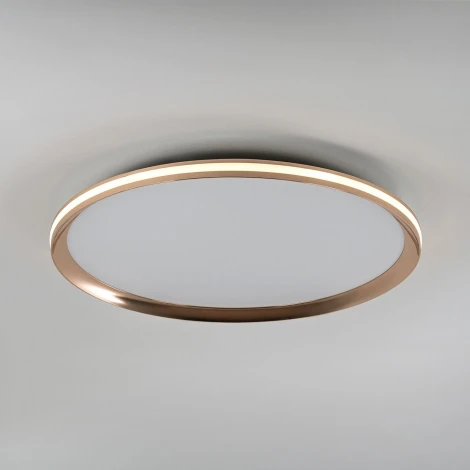 Потолочный светильник светодиодный с пультом с регулировкой цветовой температуры LED4U LED4U L3020-500 GD