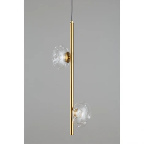 Подвесной светильник Aployt Tereze APL.074.06.02