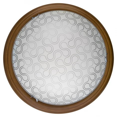 Настенно-потолочный светильник Toplight Christina TL9520Y-00OA