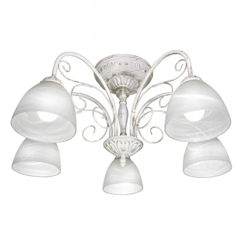 Потолочная люстра Day&Night S9206-5