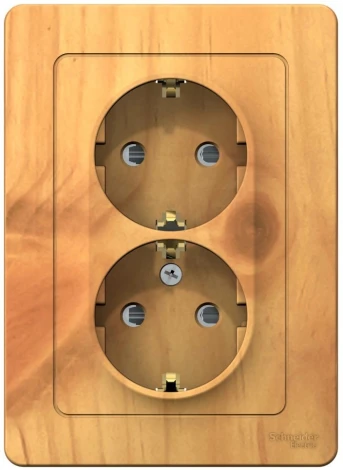 Розетка встраиваемая двойная с заземлением и шторками (ясень) Systeme Electric Blanca BLNRS001125