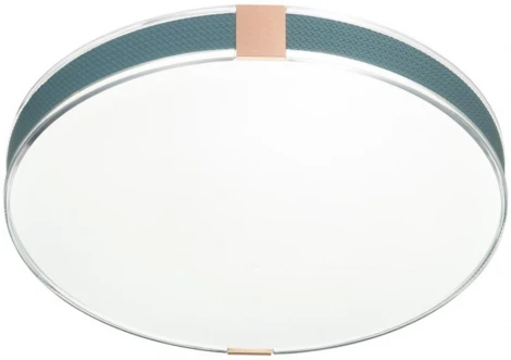 Настенно-потолочный светильник Sonex Otiga Blue 7677/DL COLOR SN пластик/серо-гол./зол. LED 48Вт 4000K D400 IP43 (220V, круглые)