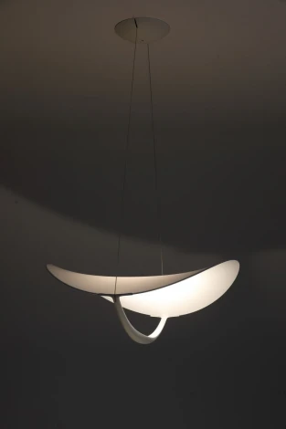 Подвесной светильник Zortes Quincy ZRS.1585.14