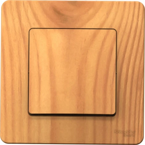 Выключатель встраиваемый одноклавишный (ясень) Systeme Electric Blanca BLNVS010105