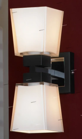 Настенный светильник Lussole Lente LSC-2501-02 (220V, IP21)