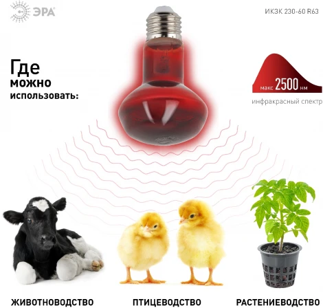 Инфракрасная лампа ЗРА ИКЗК 230-60 R63 Е27 для обогрева животных 60 Вт ЭРА